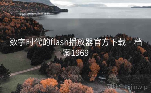 数字时代的flash播放器官方下载 · 档案1969