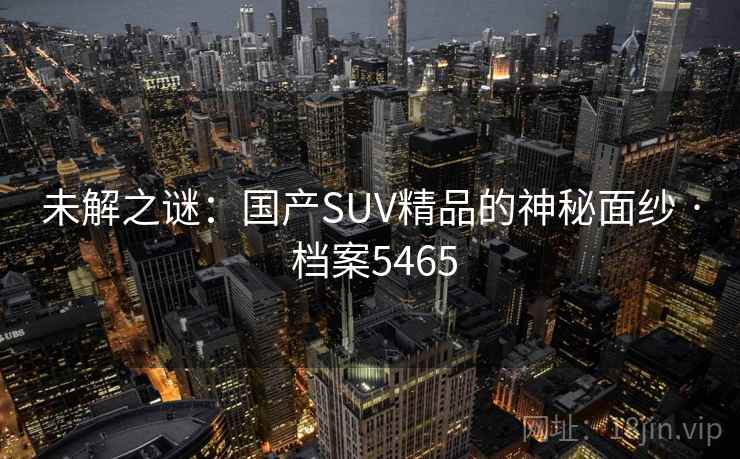 未解之谜：国产SUV精品的神秘面纱 · 档案5465