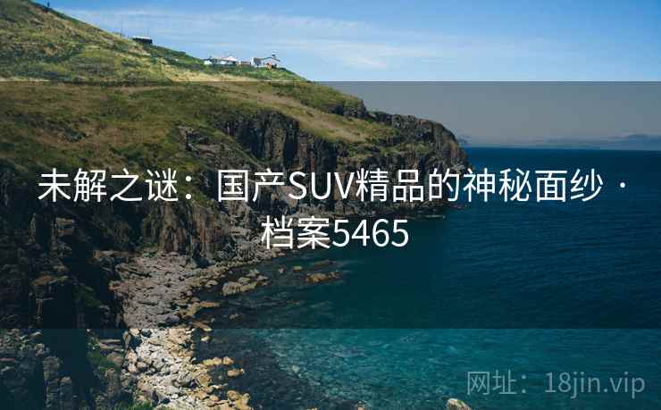未解之谜：国产SUV精品的神秘面纱 · 档案5465