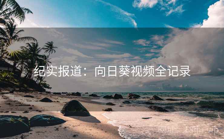 纪实报道：向日葵视频全记录