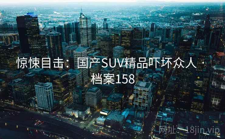 惊悚目击：国产SUV精品吓坏众人 · 档案158
