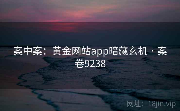 案中案：黄金网站app暗藏玄机 · 案卷9238