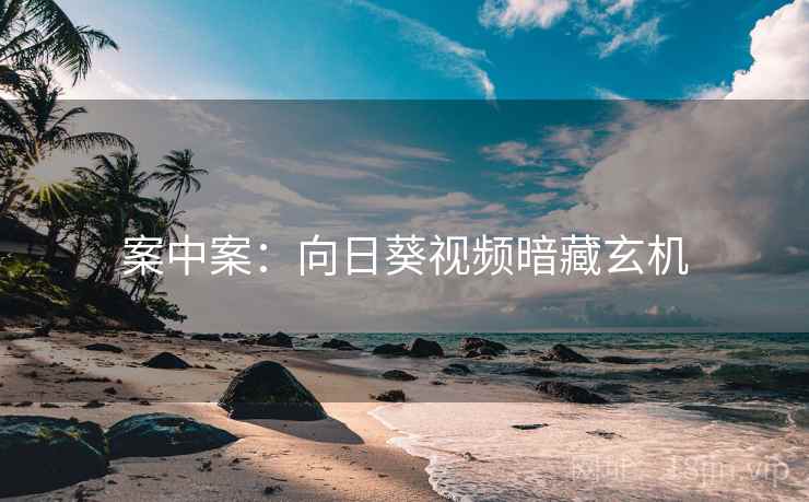 案中案：向日葵视频暗藏玄机