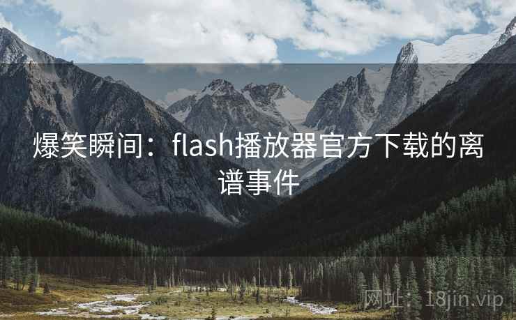 爆笑瞬间：flash播放器官方下载的离谱事件